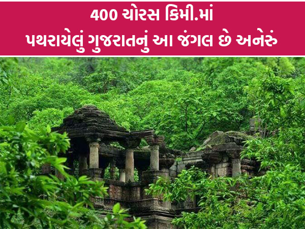 400 ચોરસ કિમી.માં પથરાયેલું ગુજરાતનું આ જંગલ અચૂક જોવા જેવુ