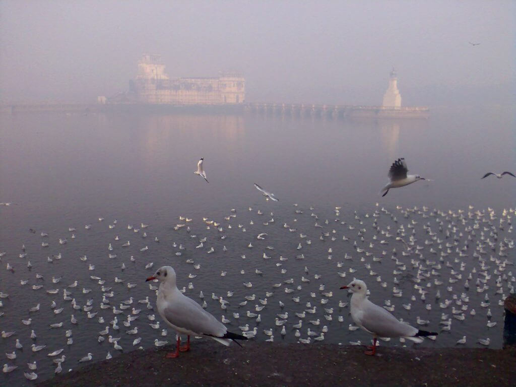 lakhota lake